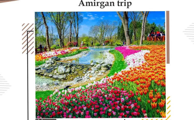  Amirgan trip