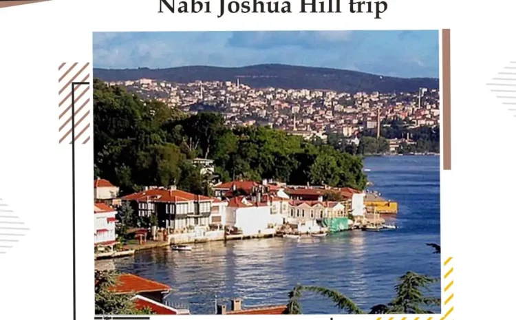  Nabi Joshua Hill Journey