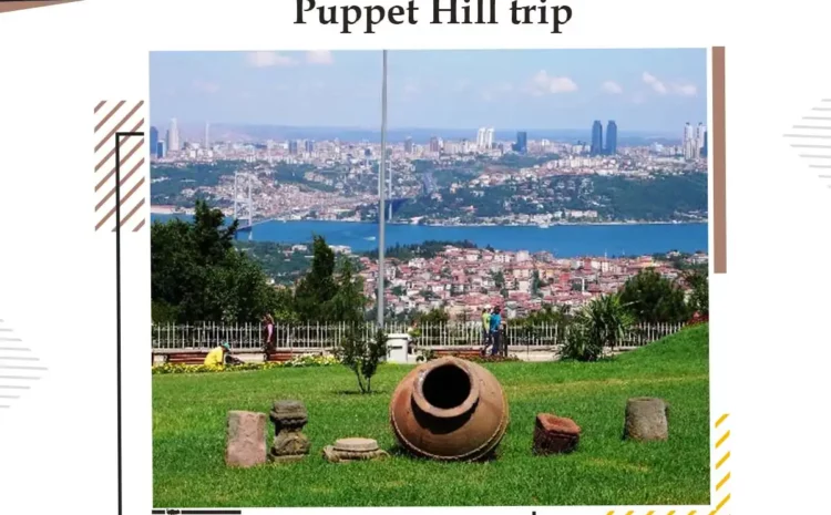  Puppet Hill Journey